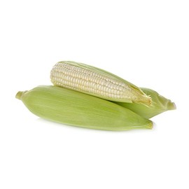 Corn Country Gentleman White Great Heirloom Vegetable by Seed Kingdom 50 Seeds