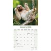 Sloths Calendar 2026 | 12 Month Wall Calendar | Avonside