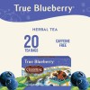 Celestial Seasonings True Blueberry Herbal Tea Pack Of 3 20
