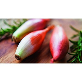 RAISE ME UP: Seeds Red Banana Shallot Onion Non GMO Heirloom