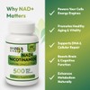 HAZEL'S Choice NAD+ Nicotinamide Adenine Dinucleotide Supplement 500mg, 60 Capsules,