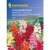Kiepenkerl Antirrhinum Serenade F2