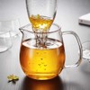IwaiLoft IL-G1968 Handmade Heat Resistant Glass Tea Pot with Tea