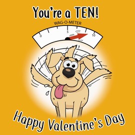 Twizler Funny Valentines Day Card From The Dog – Funny Valentine’s Card From Dog – Humorous Dog Valentines Day Card – Valentines Gifts From Dog