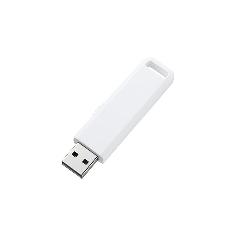 サンワサプライ(Sanwa Supply) USB2.0 メモリ 2GB ホワイト UFD-SL2GWN