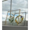 Glass Frame for Pressed Flowers, Leaf and Artwork - Hanging