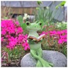 Kopo 79205 Reading Frog, Width 2.2 x Depth 2.2 x
