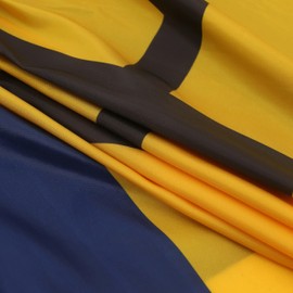 Barbados Barbadians Pleated Fan Flag Bunting 3 x 6 Ft Barbados Pleated 2 Pcs Fan Flag Banner Indoor/Outdoor/Front Porch Decorations, Barbados Half Fan Flag Patriotic Holiday decorations, Celebrations.