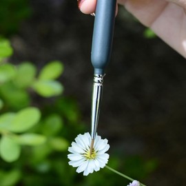 Dranvosk 10PCS Hand Pollination Brush for Vegetables Flowers, Portable Plant Pollinator Tool, Manual Pollinating Brush for Garden,Greenhouse,and Home Planting, Pollinator Garden Accessories