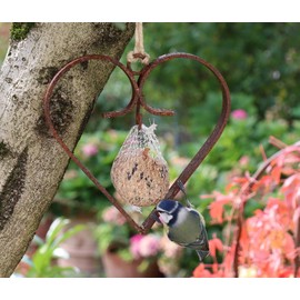 Bird Feeder Heart Fat Ball Holder for Hanging Made of Metal in Patina, Feeder Bird Decoration Heart