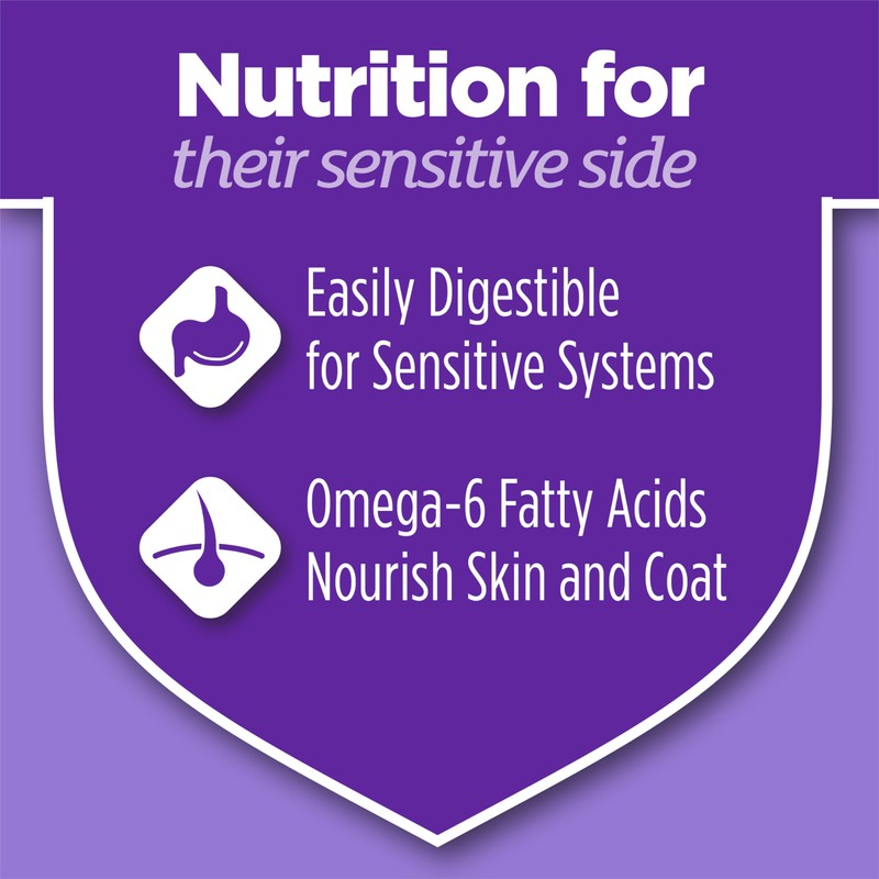 Purina Cat Chow Gentle Sensitive Stomach and Skin Dry Cat