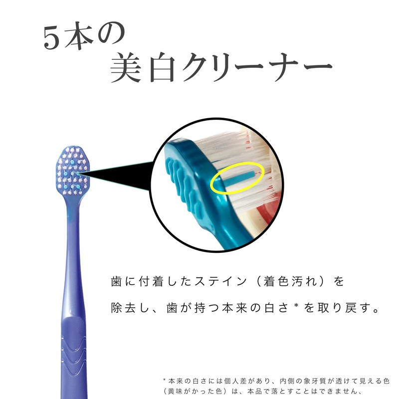 Ebisu Premium Care Teeth Whitening, 6-Row Compact, Regular, 3-Piece Set