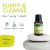  Airome, Essential Oils Blends Set of 6 (Each Bottle: