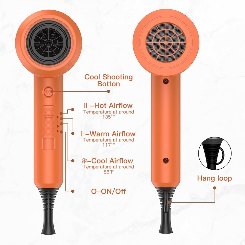 Professional Ionic Hair Dryer, Powerful 1800W Fast Drying Low Noise