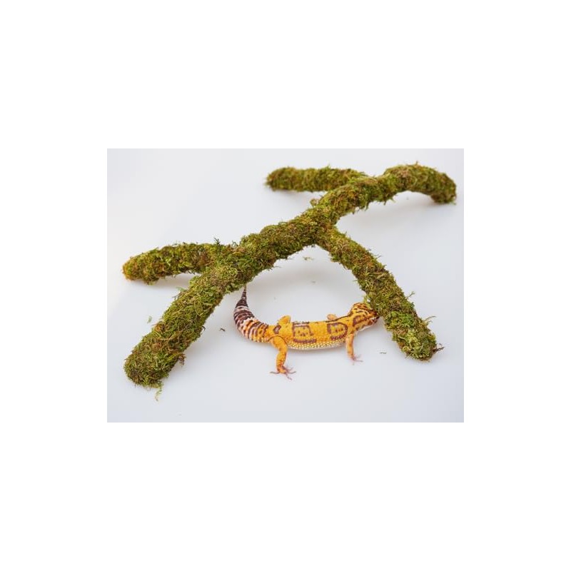 Leopard Gecko Tank Accessories, Adjustable Climbing Toys Supplies, Terrarium Habitat