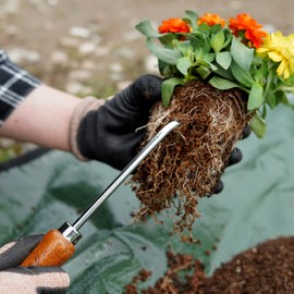 Root Hook Japanese Garden Tool for Loosing Soil, Heavy Duty Japanese Steel, Root Pick Tool for Repotting Bonsai and Transplanting Flower, Made in Japan, Silver