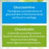Puritan's Pride Glucosamine Chondroitin MSM With D3 50mcg (2000 IU),