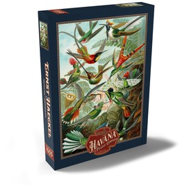 MyPuzzle Hummingbirds and Trochilidae (Hummingbirds), Vintage Art Poster, Ernst Haeckel - Premium 1000 Piece Puzzle - MyPuzzle Special Collection by Havana Puzzle Company