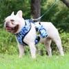 Dog Harness and Leash Set for Small Dogs, Adjustable Reflective