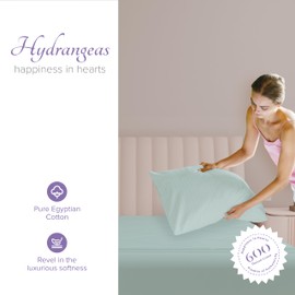 Carressa Linen 100% Egyptian Cotton Pillow Cases Set of 2-600 Thread Count Seafoam Green Standard/Queen Pillowcase for Sleeping, Soft, Silky Sateen Bed Pillow Cover, Extra Long Staple Pillowcases