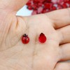 FAZHBARY 150 PCS Resin Ladybugs Flat Back Tiny Ladybugs Ornaments