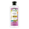 Shampoo Herbal Essences Bio:Renew Rosemary & Herbs 400 ml