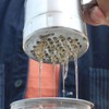 aqxreight Honey Extractor, Portable Mini Stainless Steel Honey Extractor, Manual