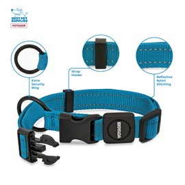 Best Pet Supplies Reflective Dog Collar with Adjustable Length, Heavy-Duty Buckle, and Strong Leash D-Ring, Training, Walking, Jogging Accessory for Small, Medium, and Large Breeds - Turquoise, M