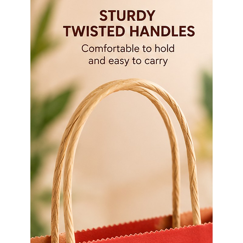 Kraft Paper Gift Bags with Handles for Party Favors –