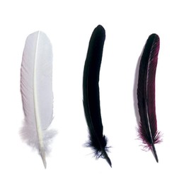 Herbin 23301ST - Full Keel 21 cm, Ideal for Calligraphy and Drawing, Pack of 1, White