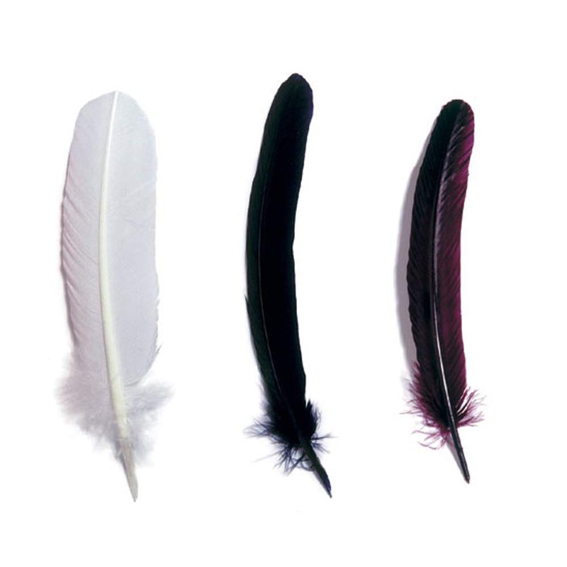 Herbin 23301ST - Full Keel 21 cm, Ideal for Calligraphy