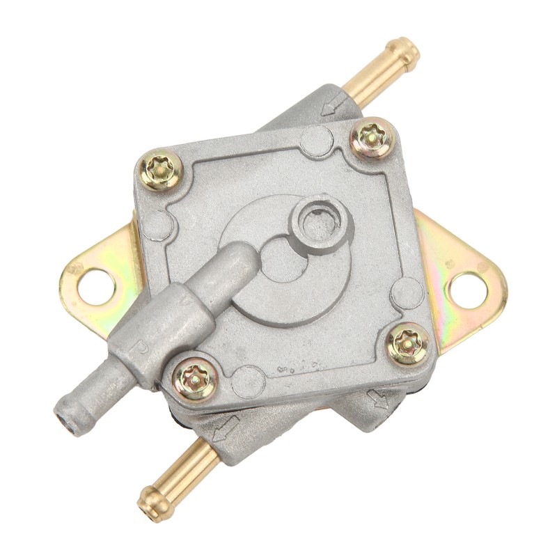 Engine Fuel Pump ATV UTV Fuel Transfer Pump 2521135 Replacement