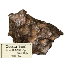 Odessa Meteorite Specimen (Iron Meteorite) Odessa