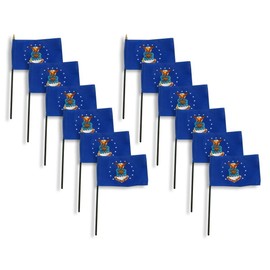 Air Force Flag 4 x 6 inch (12)