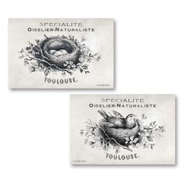 French Bird Nest | Lovely Black and White Bird, Nest and Eggs; Two 10x8in Poster Prints