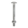 Timco - Carriage Bolts & Hex Nuts - Hot Dipped Galvanised (Size M8 x 150-25 Pieces)