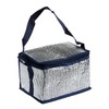 Thermal Insulated Bag, Box Type, 8.3 x 5.5 x 5.5