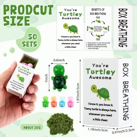 50 Sets Employee Appreciation Gifts Bulk You're Turtley Awesome Breathing Box Gifts Team Building Support Inspirational Positive Thank You Party Favor for Employees Staff Coworkers Teacher