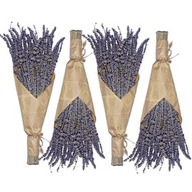 Cedar Space Lavender Dried Flowers 4 Bunches Dried Lavender Ideal Home Fragrance Products for Home Decorations, Wedding, Party, Photography & Flower Arrangements, Total Length 16 Inches