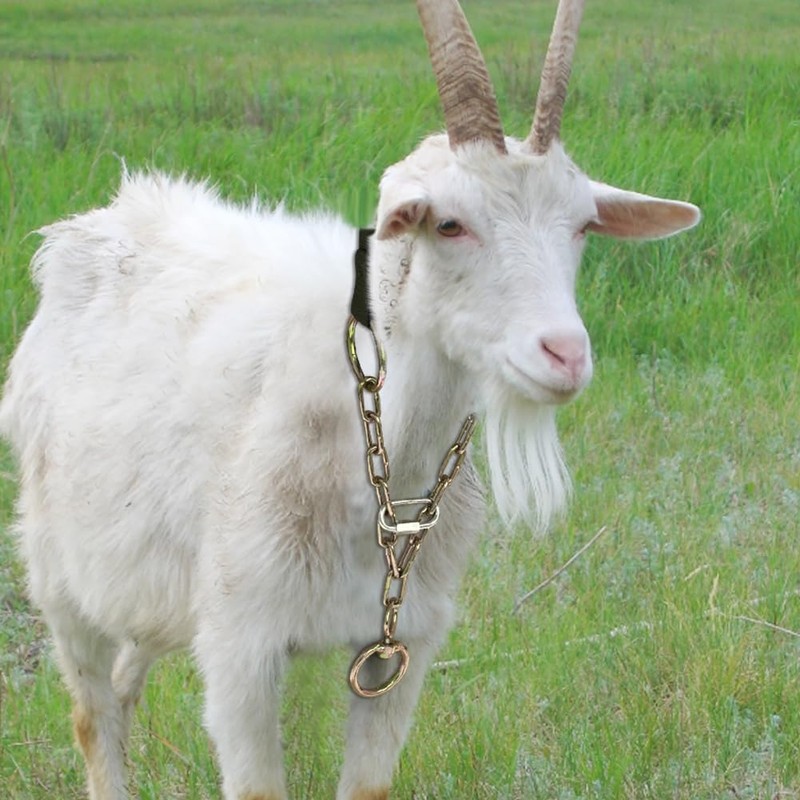 La La Pet 2Pcs Goat Collars Adjust from 18 to