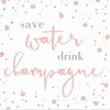 Save Water Coaster Drink Champagne
