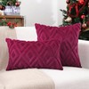 Pallene Soft Faux Fur Throw Pillow Covers 22x22 Set of