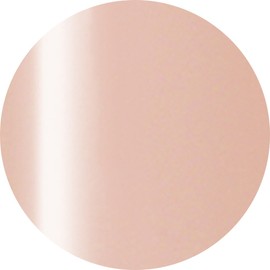 Ageha Gel 4-Colored Gels kosumekara- 102 Walnut 2.7 G UV/LED Compatible