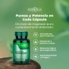 Glicinato de Magnesio 400mg Magnesio Glicinato + Omega 3 Fórmula