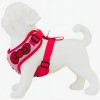 Arnés Pechera Ajustable Antitirones Para Perro Chico Mediano Kitty 4