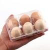 JAPCHET JAPCHET 100 Pack Plastic Egg Cartons, Clear 12 Egg