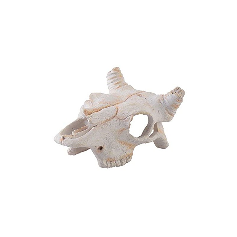 Exo Terra Buffalo Skull, Small