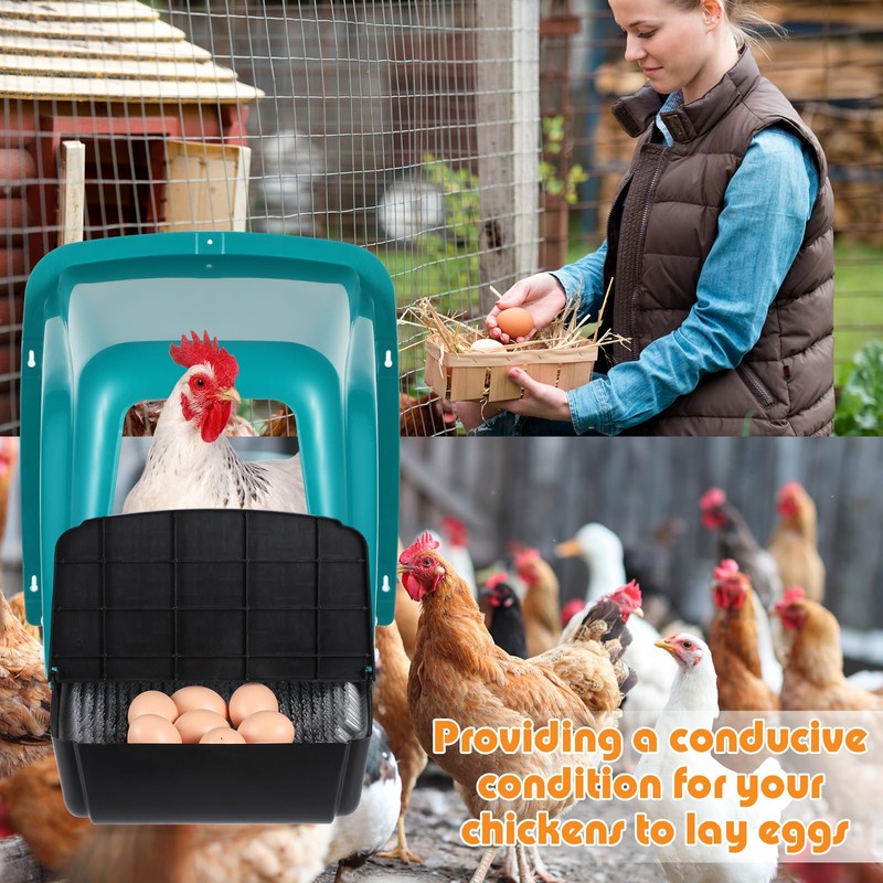 Nuogo 10 Pack Chicken Nesting Box Bulk, Chicken Laying Boxes