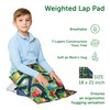 Sensory Weighted Lap Pad 5 lbs - Teenager Boys Girls