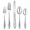 Lenox Butterfly Meadow 5 Piece Place Setting 18/10 Stainless Flatware